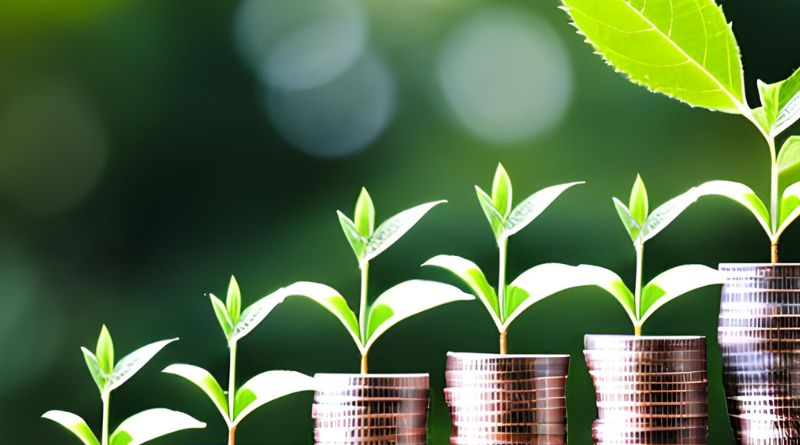 Benefícios da sustentabilidade financeira